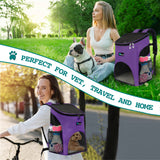 Classic 1-Way Entry Pet Carrier Backpack