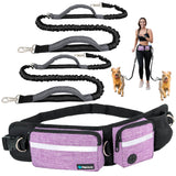 Deluxe Hands Free Dog Leash Bag