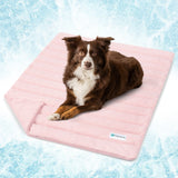 Premium Cooling Tech Pet Blanket