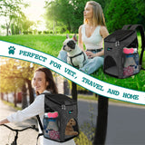 Classic 1-Way Entry Pet Carrier Backpack