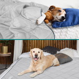 Cooling Tech Pet Blanket