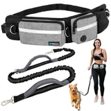 Deluxe Hands Free Dog Leash Bag