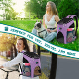 Classic 1-Way Entry Pet Carrier Backpack