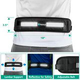 Padded Hands Free Dog Leash Belt