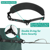 Padded Hands Free Dog Leash Belt