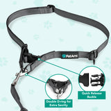 Heavy Duty Hands Free Dog Leash Belt