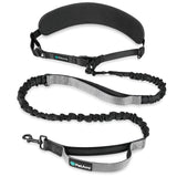 Padded Hands Free Dog Leash Belt