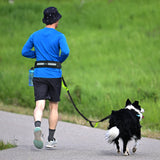 Padded Hands Free Dog Leash Belt