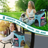 Classic 1-Way Entry Pet Carrier Backpack