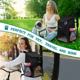 Classic 1-Way Entry Pet Carrier Backpack