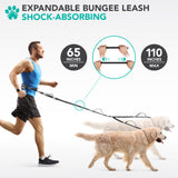 Padded Hands Free Dog Leash Belt - Dual Dog