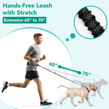 Padded Hands Free Dog Leash Belt