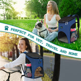 Classic 1-Way Entry Pet Carrier Backpack