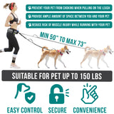 Deluxe Hands Free Dog Leash Bag