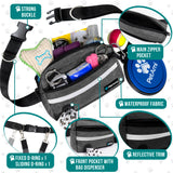 Classic Hands Free Dog Leash Bag