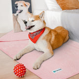 Waterproof Waffle Textured Pet Blanket
