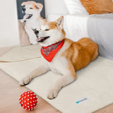 Waterproof Sherpa Pet Blanket