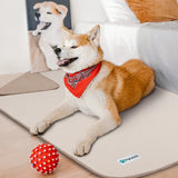 Waterproof Classic Pet Blanket