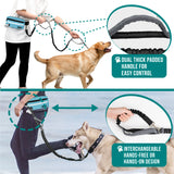 Classic Hands Free Dog Leash Bag