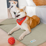 Waterproof Sherpa Pet Blanket