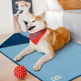 Waterproof Classic Pet Blanket