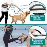 Classic Hands Free Dog Leash Bag
