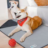 Waterproof Classic Pet Blanket