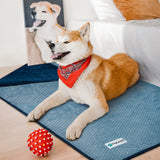 Waterproof Waffle Textured Pet Blanket