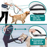 Classic Hands Free Dog Leash Bag