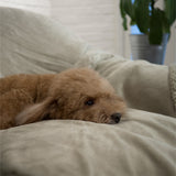 Waterproof Fleece Pet Blanket