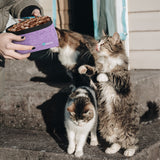 Adventurer Pet Travel Bowl Kit