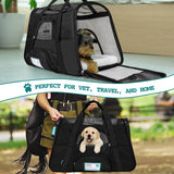 Classic Tote Bag Pet Carrier