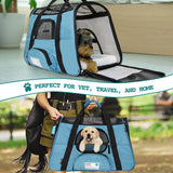 Classic Tote Bag Pet Carrier