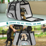 Classic Tote Bag Pet Carrier