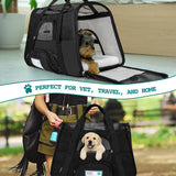 Classic Tote Bag Pet Carrier