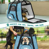 Classic Tote Bag Pet Carrier