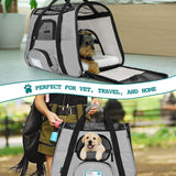 Classic Tote Bag Pet Carrier