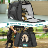 Heather Tote Bag Pet Carrier