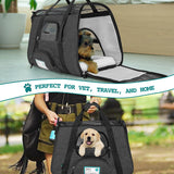 Heather Tote Bag Pet Carrier