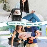 Stylish Handbag Purse Pet Carrier