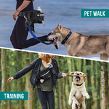 Classic Dog Treat Training Fanny Pack