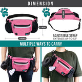 Classic Dog Treat Training Fanny Pack