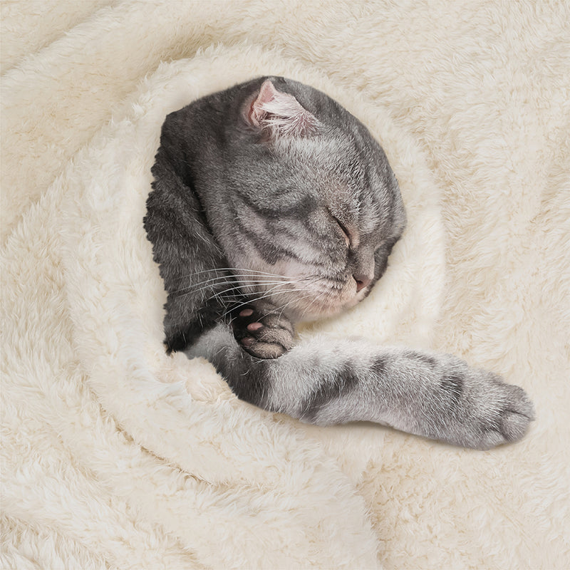 Fluffy Pet Blanket
