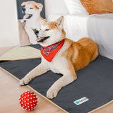 Waterproof Sherpa Pet Blanket