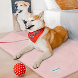 Waterproof Sherpa Pet Blanket