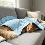 Unique Shaped Cool & Warm Pet Mat