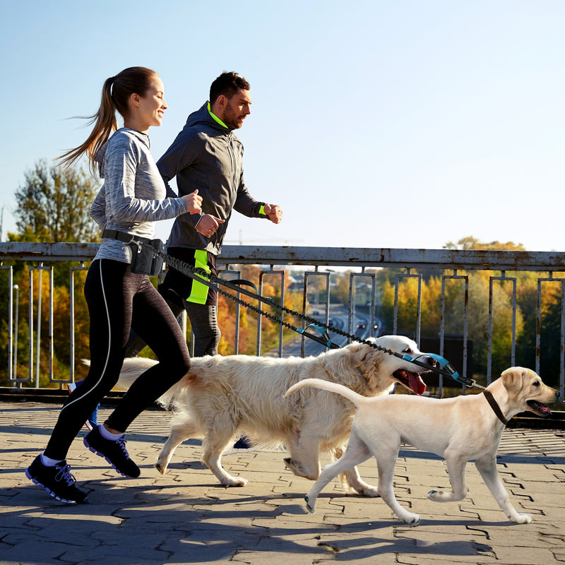 Premium Hands Free Dog Leash Bag