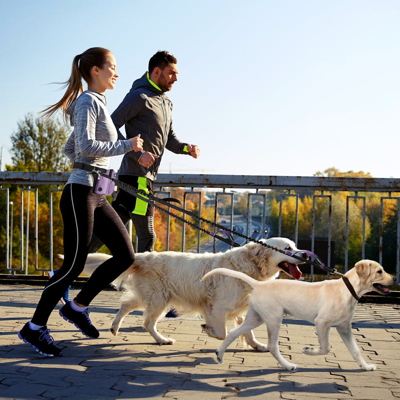 Premium Hands Free Dog Leash Bag