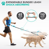 Padded Hands Free Dog Leash Belt - Dual Dog