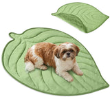 Unique Shaped Cool & Warm Pet Mat
